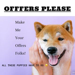 ✨ OFFERS PLEASE ✨
